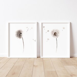 May include: Two framed black and white watercolor paintings of dandelions with seeds blowing in the wind. The paintings are on a light wood floor.
