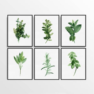 Kitchen Herb Print Green Wall Wall Art, Print set of 6 Herbs Spices Art Decor, Gift for Women Botanical Illustration, Home Garden Painting image 6