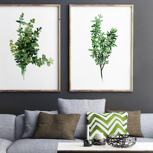 May include: Two framed watercolor paintings of green leafy plants on a white background. The frames are brown wood and the paintings are hanging on a dark gray wall above a gray couch with brown and green pillows.
