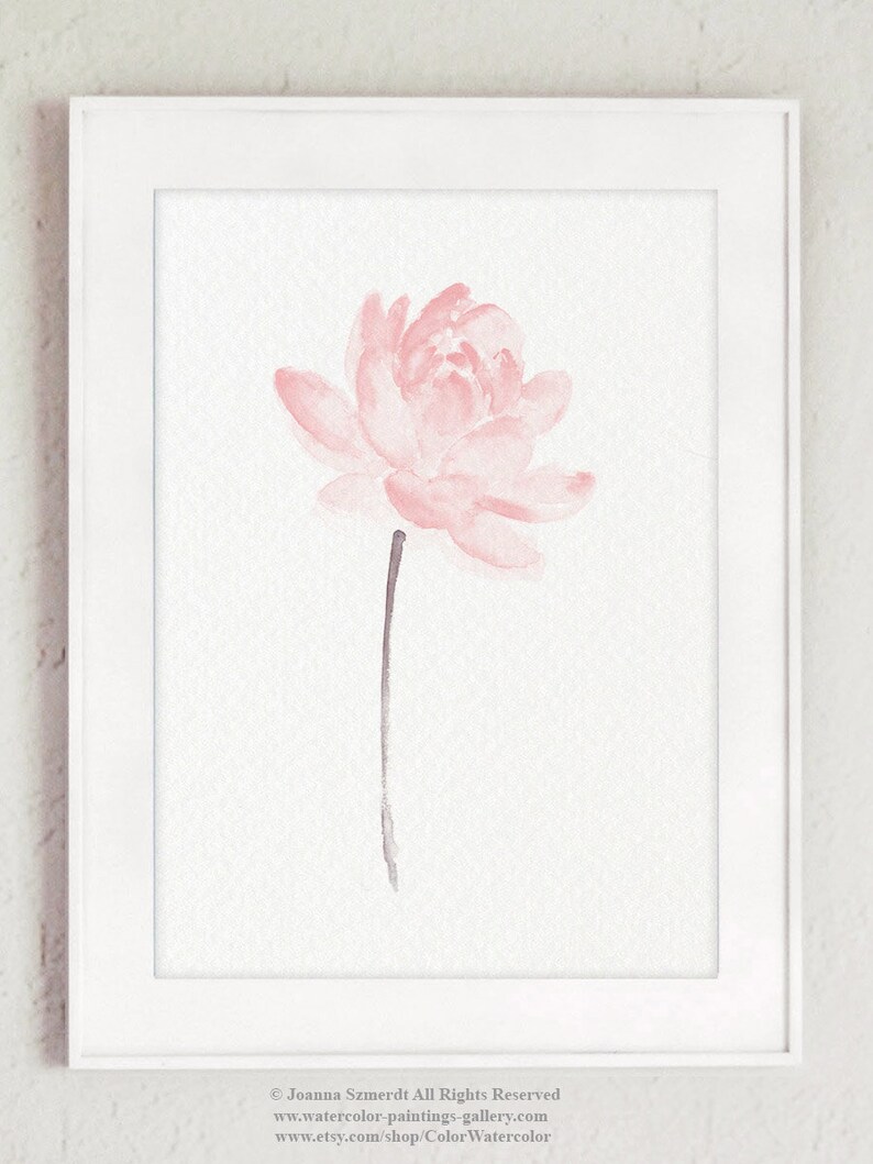 Lotus Flower Lotus Art Print Lotus Blush Pink Flower Pink Etsy