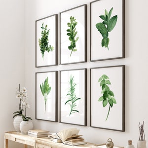 Kitchen Herb Print Green Wall Wall Art, Print set of 6 Herbs Spices Art Decor, Gift for Women Botanical Illustration, Home Garden Painting image 5