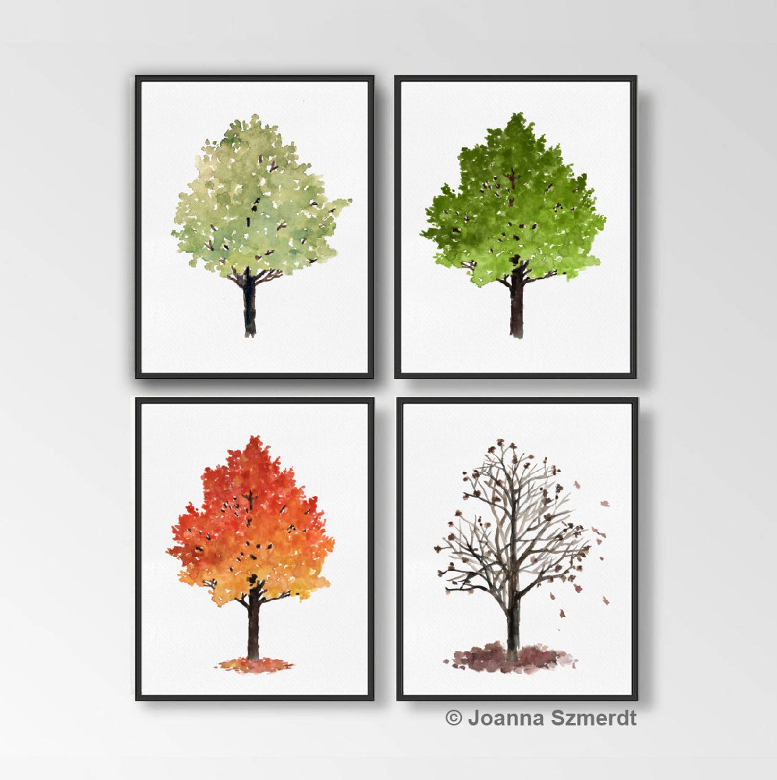Maple Tree Four Seasons Spring Summer Fall Winter Art Print Etsy