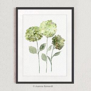 May include: A watercolor painting of three green hydrangeas with stems and leaves on a white background. The painting is framed in a black frame. The artist's signature, "Joanna Szmerdt", is in the bottom right corner.