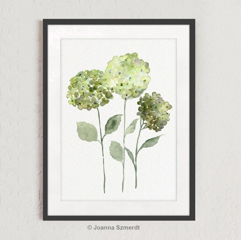 May include: A watercolor painting of three green hydrangeas with stems and leaves on a white background. The painting is framed in a black frame. The artist's signature, "Joanna Szmerdt", is in the bottom right corner.