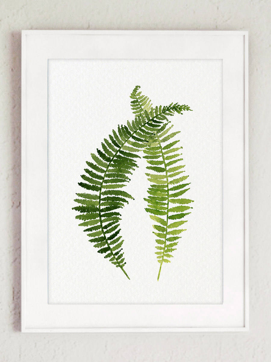 Fern Art Print set 6 Ferns Botanical Prints Light Green Plants | Etsy