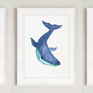 Puede incluir: Tres acuarelas en marcos blancos. Las pinturas representan una tortuga marina azul, una ballena azul y una estrella de mar azul.