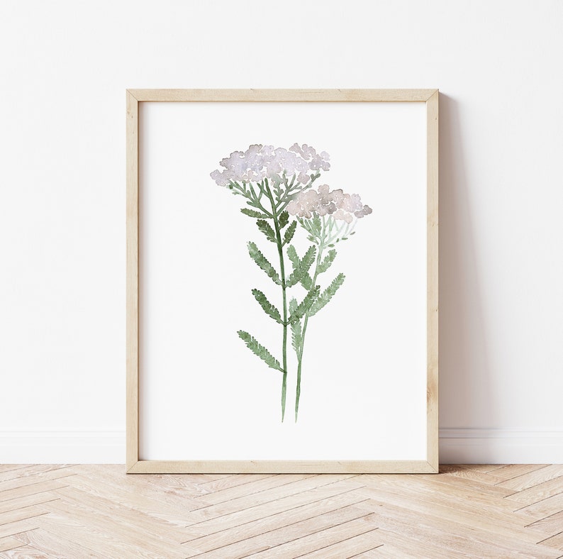 Wild Flower Watercolor Painting, Minimalist Floral Artwork, Milfoil Botanical Art Yarrow Herbs Decor, Kitchen Wall Decor Modern Art Print image 5