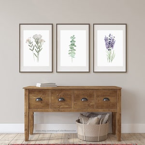 May include: Three framed watercolor prints of botanical illustrations. The prints feature a sprig of white flowers, a sprig of eucalyptus leaves, and a bunch of lavender flowers. The prints are displayed on a wall above a wooden console table.