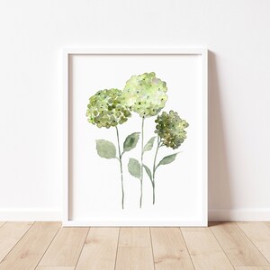 May include: A watercolor painting of three green hydrangea flowers with stems and leaves on a white background.