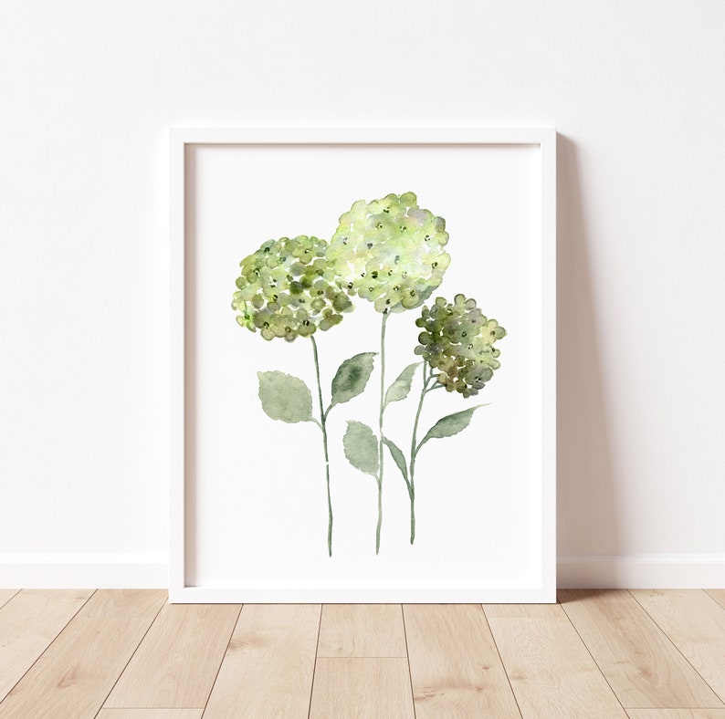 May include: A watercolor painting of three green hydrangea flowers with stems and leaves on a white background.