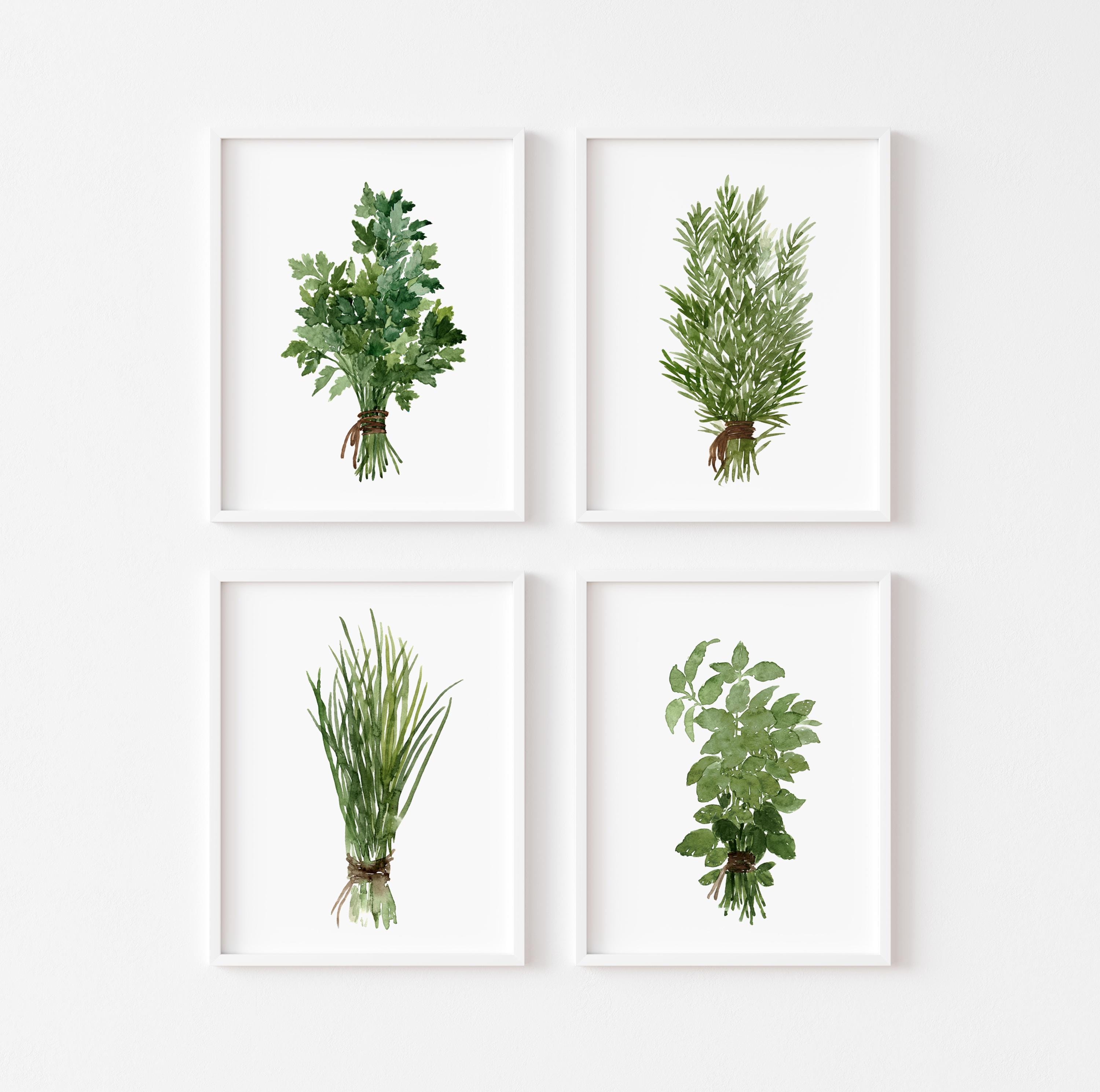 Herb Wall Art Set of 4, Watercolor Herb Prints, Kitchen Botanical ...