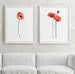 Poppy Wall Art, Poppy Art Print, Poppy Flower Wall Art, Red Poppy Prints set of 2, Poppies Living Room Wall Decor Watercolor Painting 