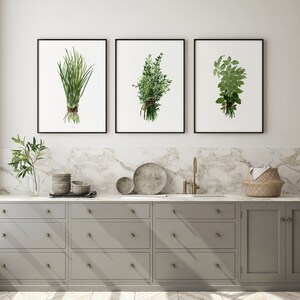 Herbs Bundle Thyme Basil Chive Set 3 Herb Art Prints Green Kitchen Wall ...