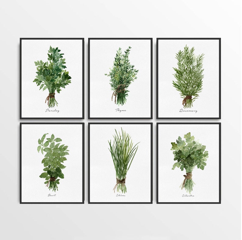 Kitchen Prints, Herbs Kitchen Gallery, Kitchen Wall Art, Kitchen Decor ...