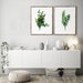 set of 2 Kitchen Prints, Kitchen Wall Art set, Kitchen Gallery, Minimalist Wall Decor, Herb Prints, Thyme Painting Botanical Farmhouse Decor