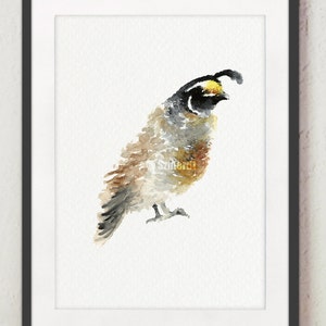 Quail Art Print, Quail Bird Prints, Quail Print Wall Art, Quail Living Room Nature Wall Art