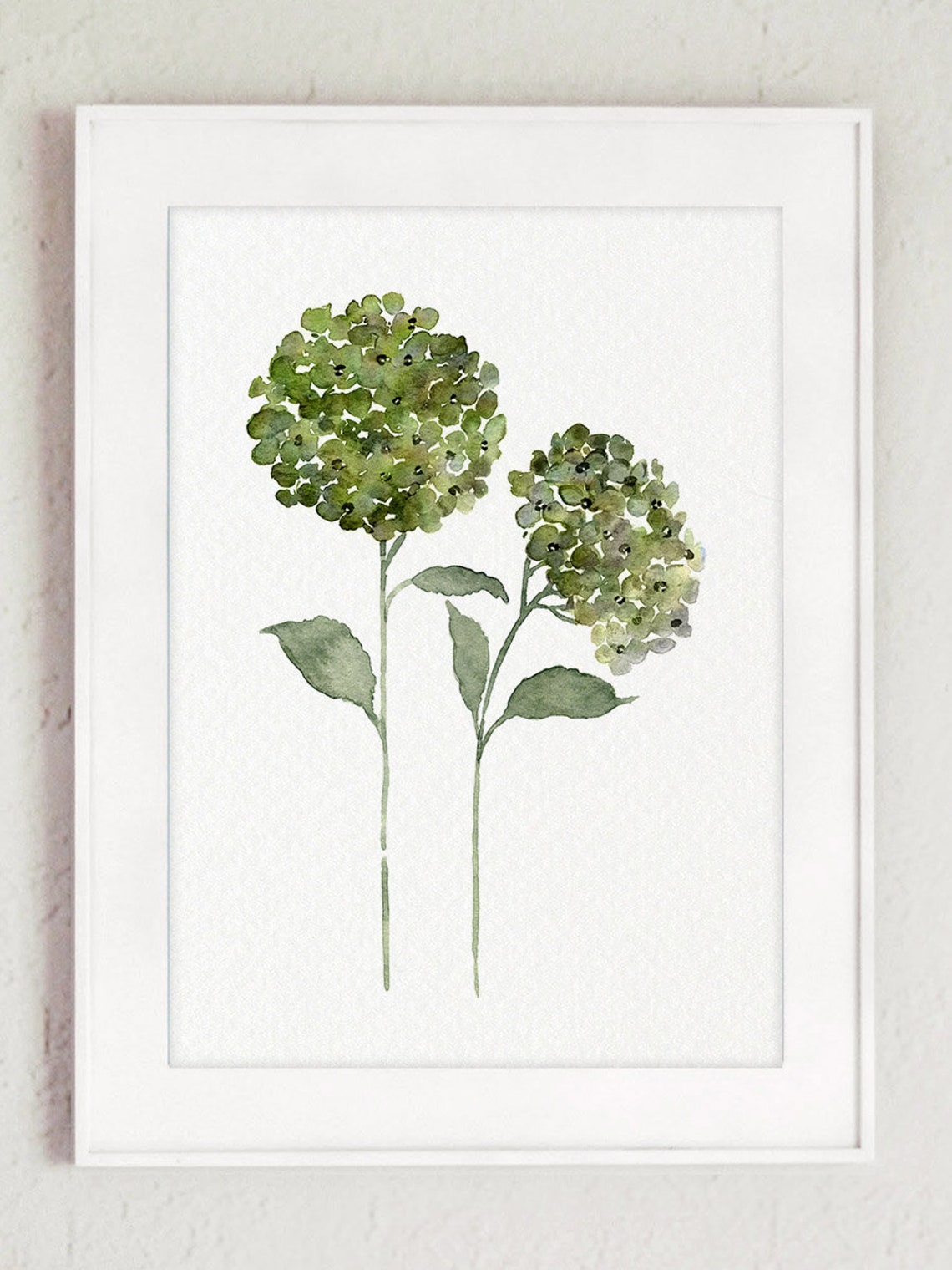 Hydrangea Wall Art Green Hydrangea Print Hydrangea Flower - Etsy