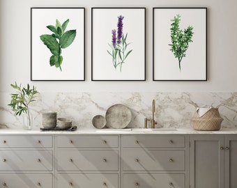 Green Wall Art, Herbs Watercolor, Kitchen Poster, Lavender Botanical Wall Art, Mint Prints, Dining Room Wall Art, Minimalist set of 3 Prints