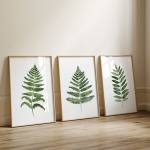 Fern Wall Art, Green Art Print, Fern Watercolor Painting, Leaf Botanical Art, Abstract Prints set of 3, Living Room Wall Decor image 4