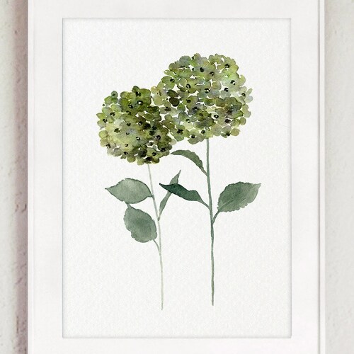 Hydrangea Wall Art, Hydrangea Pints, Green Hydrangea Flower Wall Art Print set of 4 Watercolor shops Painting