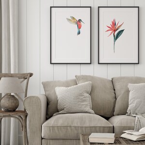 May include: Two framed watercolor prints, one depicting a hummingbird in flight and the other a red flower with green leaves, hanging on a white wall above a beige sofa with pillows.