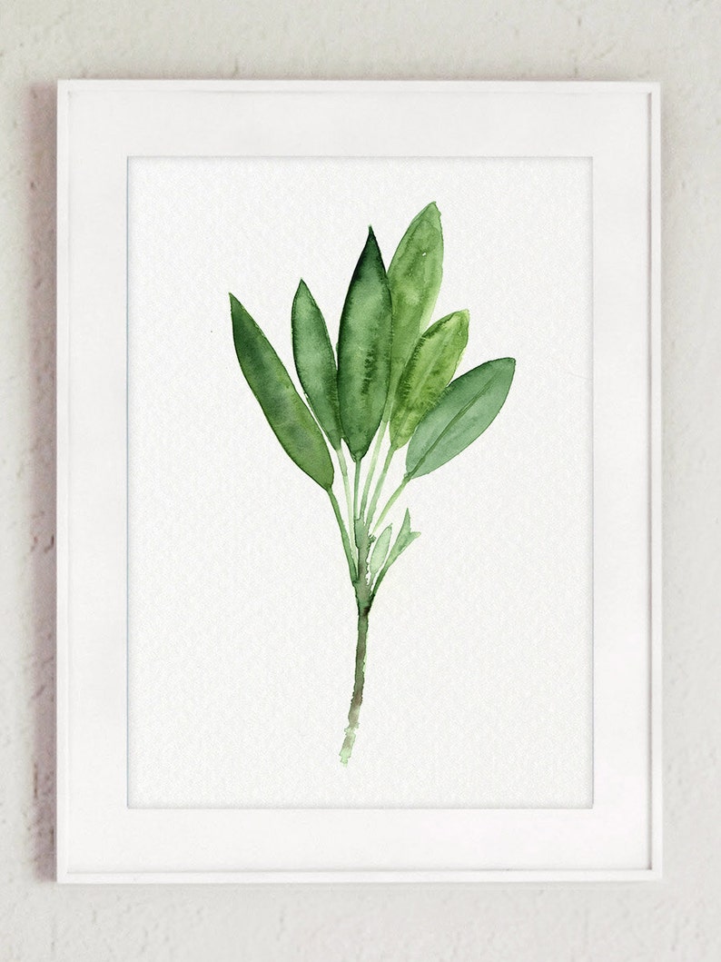 Sage Art print Lavender Watercolor Painting Kitchen Wall Etsy