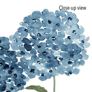 Hydrangea Flower Set 4 Print Wall Art, Blue Botanical Art Print ...