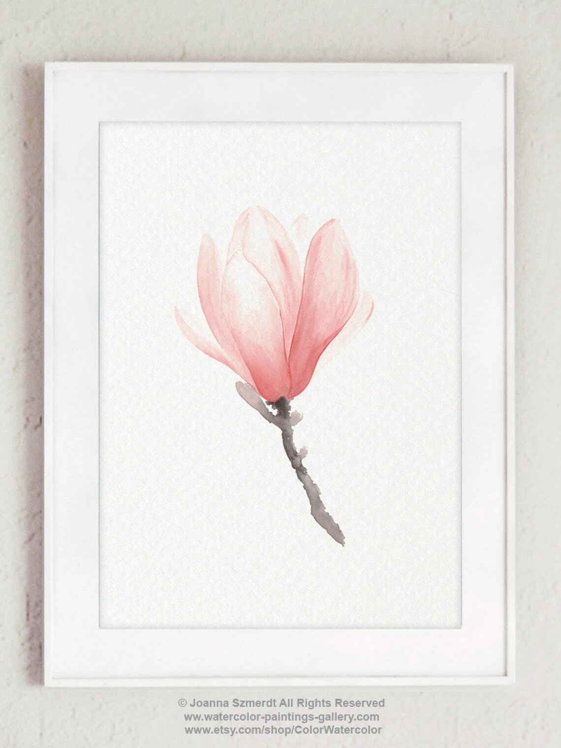 Magnolia Blush Pink Art Print Magnolia Watercolor Painting | Etsy