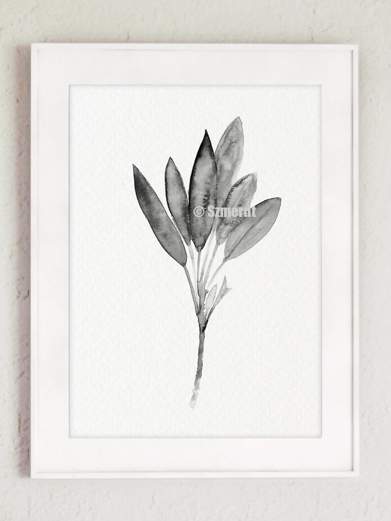 Kitchen Herbs Illustration Set of 8 Black and White Drawing Etsy