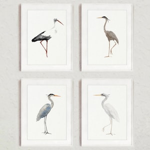 Heron Wall Art, White Egret Print, Lake Bird Prints, set of 4 Piece Wall Art