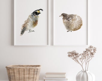 Quail Art Print Set: Brown Bird Wall Decor