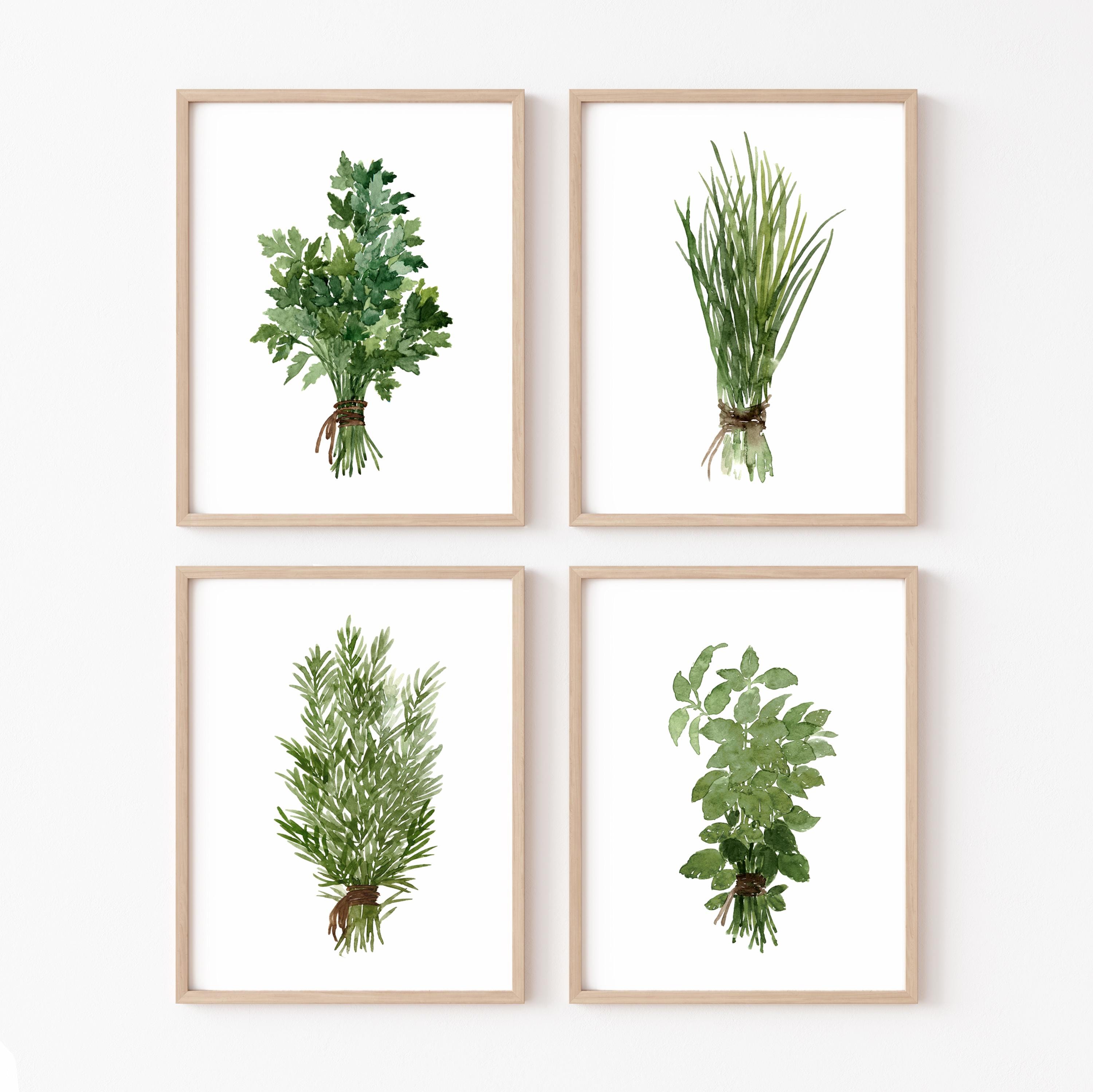 Herb Wall Art Set of 4, Watercolor Herb Prints, Kitchen Botanical ...