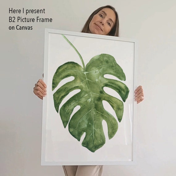 monstera dubia standort Monstera Dubia on Eco Mosspole House Plant – Plants For All Seasons main image 0
