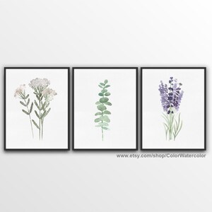May include: Set of three watercolor prints featuring botanical illustrations. The prints depict a sprig of white flowers, a eucalyptus branch, and a bouquet of lavender.
