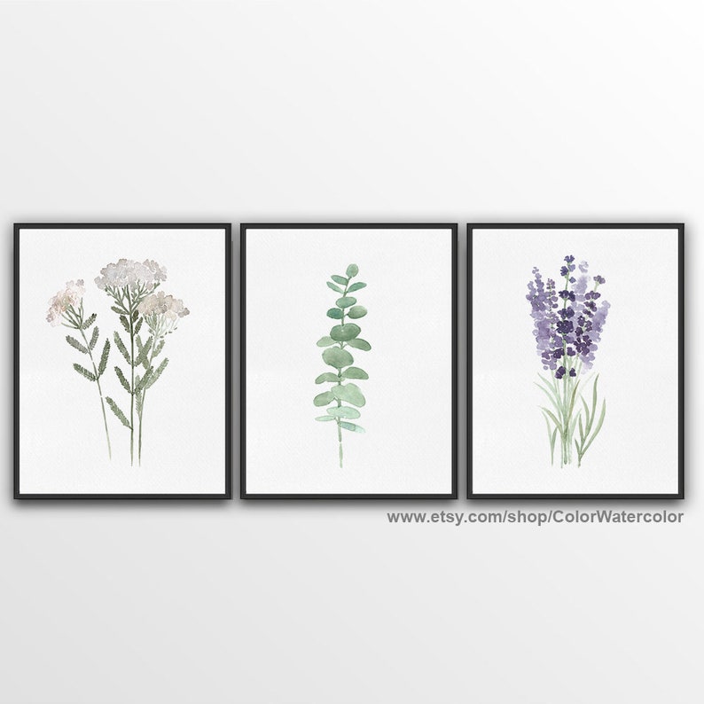 May include: Set of three watercolor prints featuring botanical illustrations. The prints depict a sprig of white flowers, a eucalyptus branch, and a bouquet of lavender.