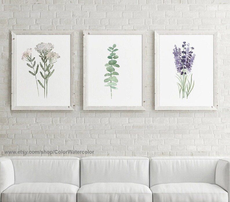 May include: Three framed watercolor prints of botanical illustrations. The prints feature a sprig of white flowers, a branch of eucalyptus leaves, and a bunch of lavender flowers.