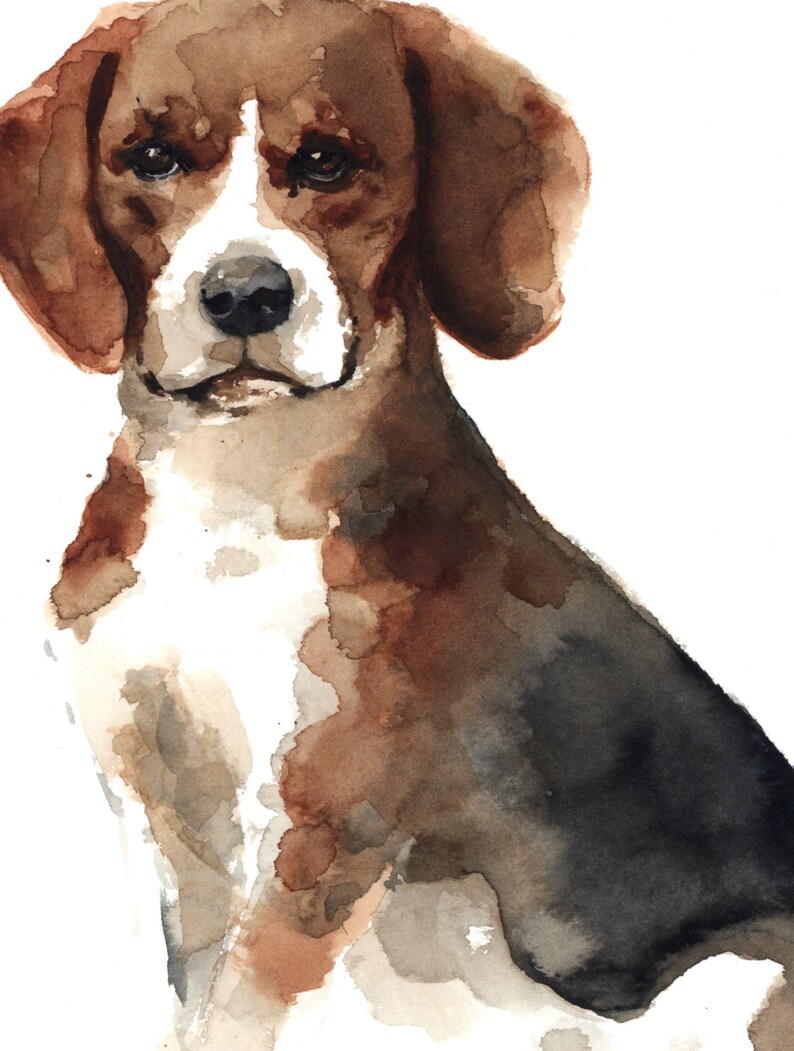 Beagle Dog Art Print Pets Illustration Giclee Fine Art Etsy