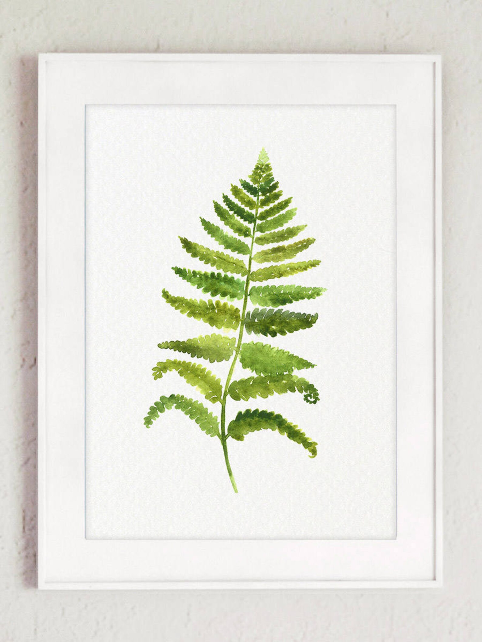 Fern Art Print Set 6 Ferns Botanical Prints Light Green Plants | Etsy ...