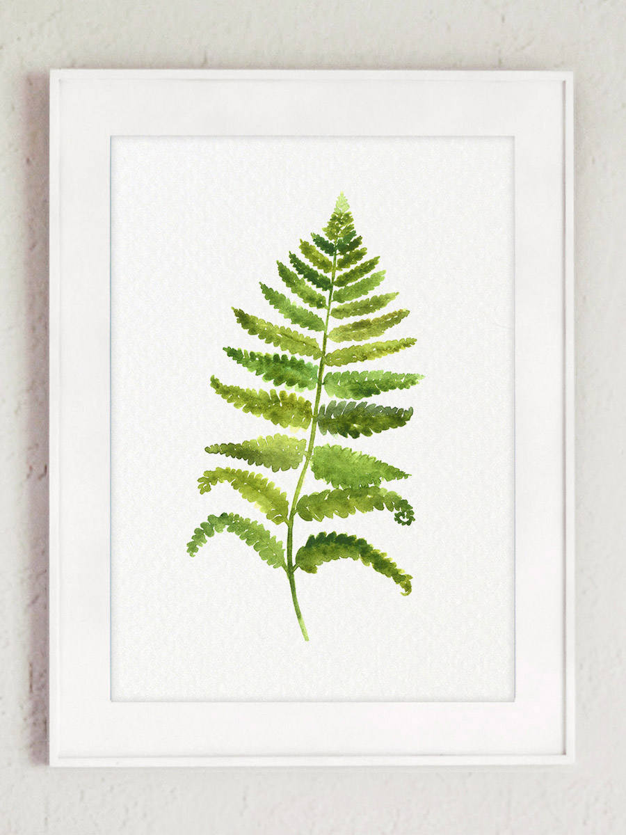 Fern Art Print Set 6 Ferns Botanical Prints Light Green Plants Etsy