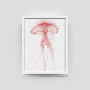 May include: A watercolor painting of a pink jellyfish with long, flowing tentacles. The jellyfish is depicted against a white background.