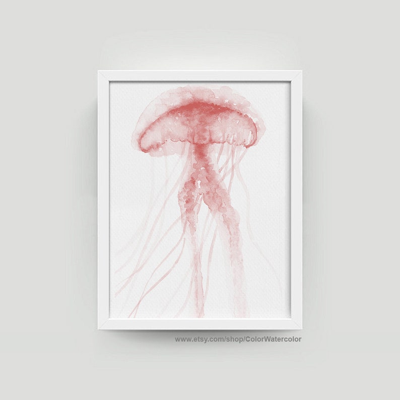 May include: A watercolor painting of a pink jellyfish with long, flowing tentacles. The jellyfish is depicted against a white background.