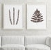 Fern Watercolor, Brown Wall Decor, Extra Large set of 3 Prints, Minimalist Prints Modern Wall Decor, Botanical Poster, Abstract Art 