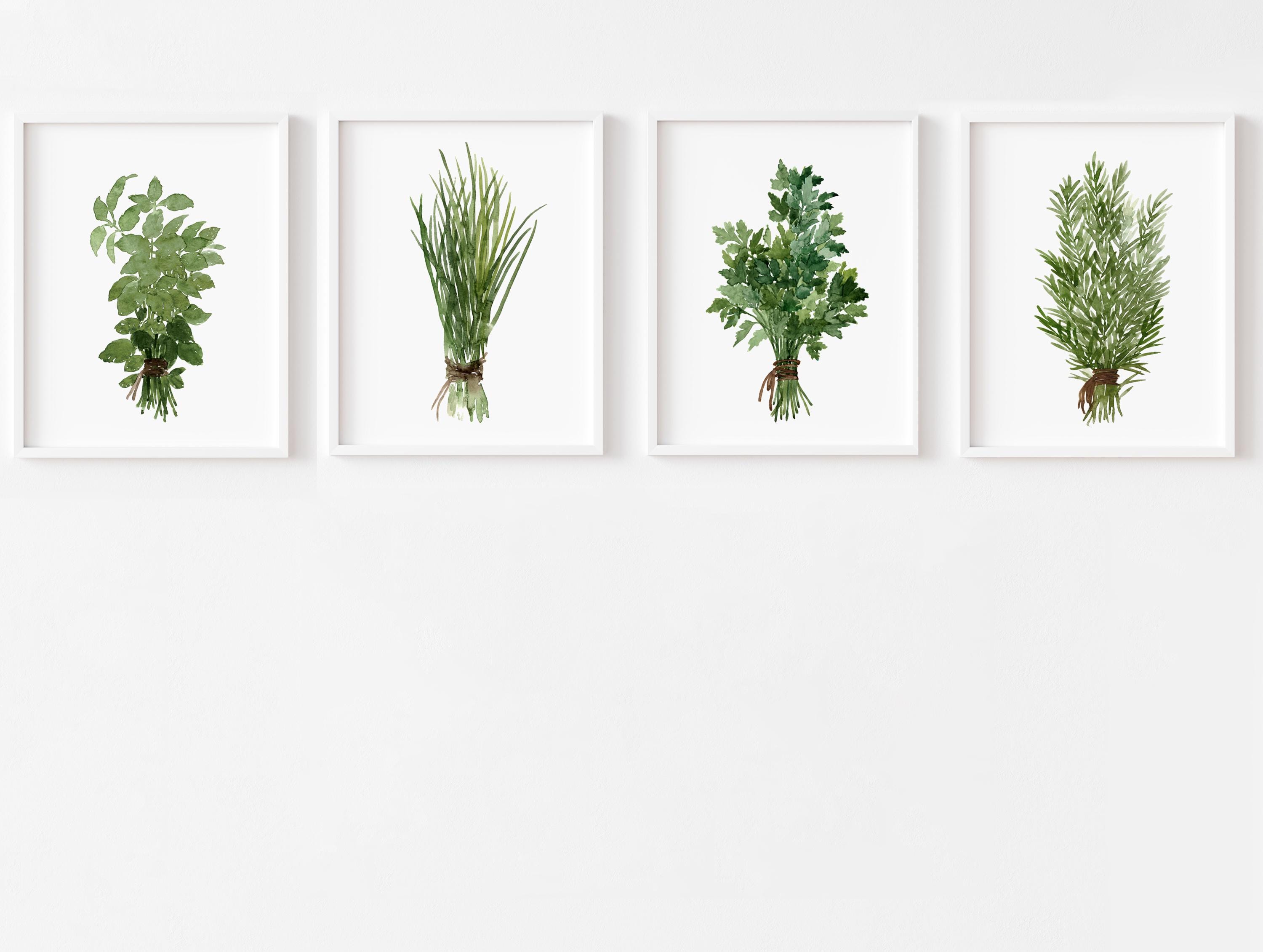 Herb Wall Art Set of 4, Watercolor Herb Prints, Kitchen Botanical ...