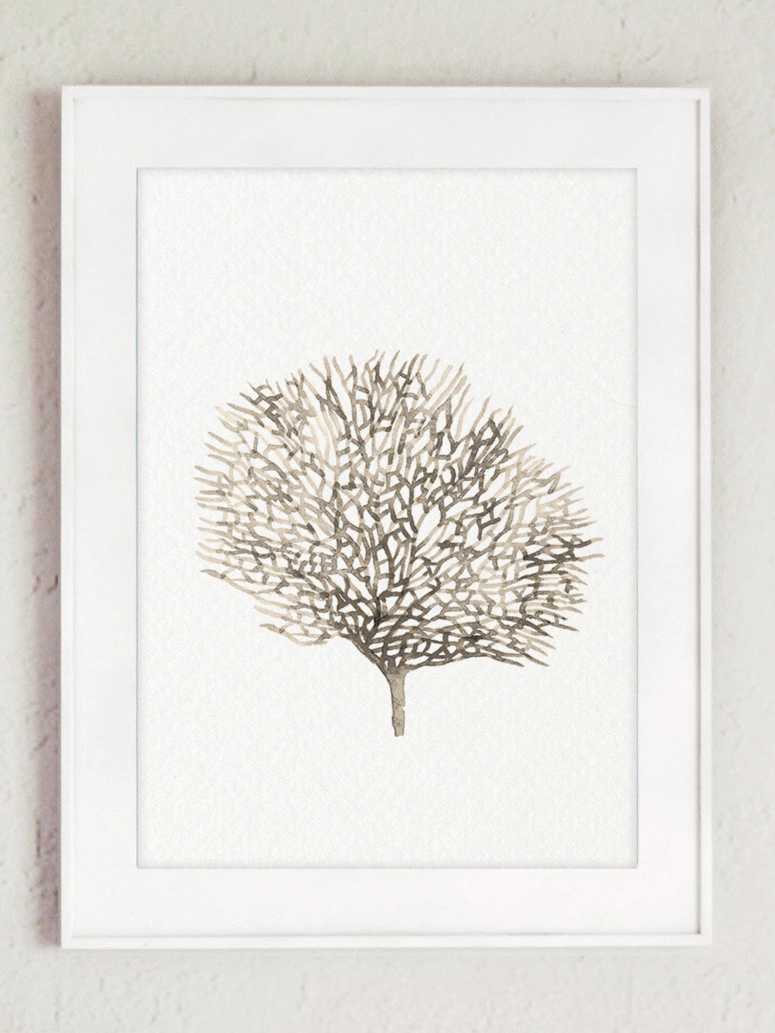 Sea Fan Coral Art Print Tan Sea Life Wall Art Beige Print Etsy