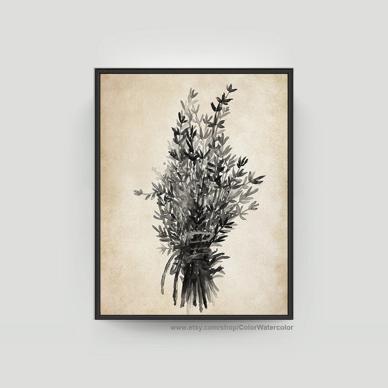 Thyme Painting Thyme Decor Thyme Kitchen Art Grey Botanical Etsy