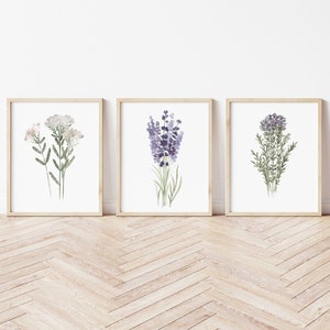 Thymian Lavendel Schafgarbe Bündel, Set 3 Kräuter Kunstdruck, Wohnzimmer Dekor, Heilpflanzen, Küche Wand Bilder, Digitaldrucke