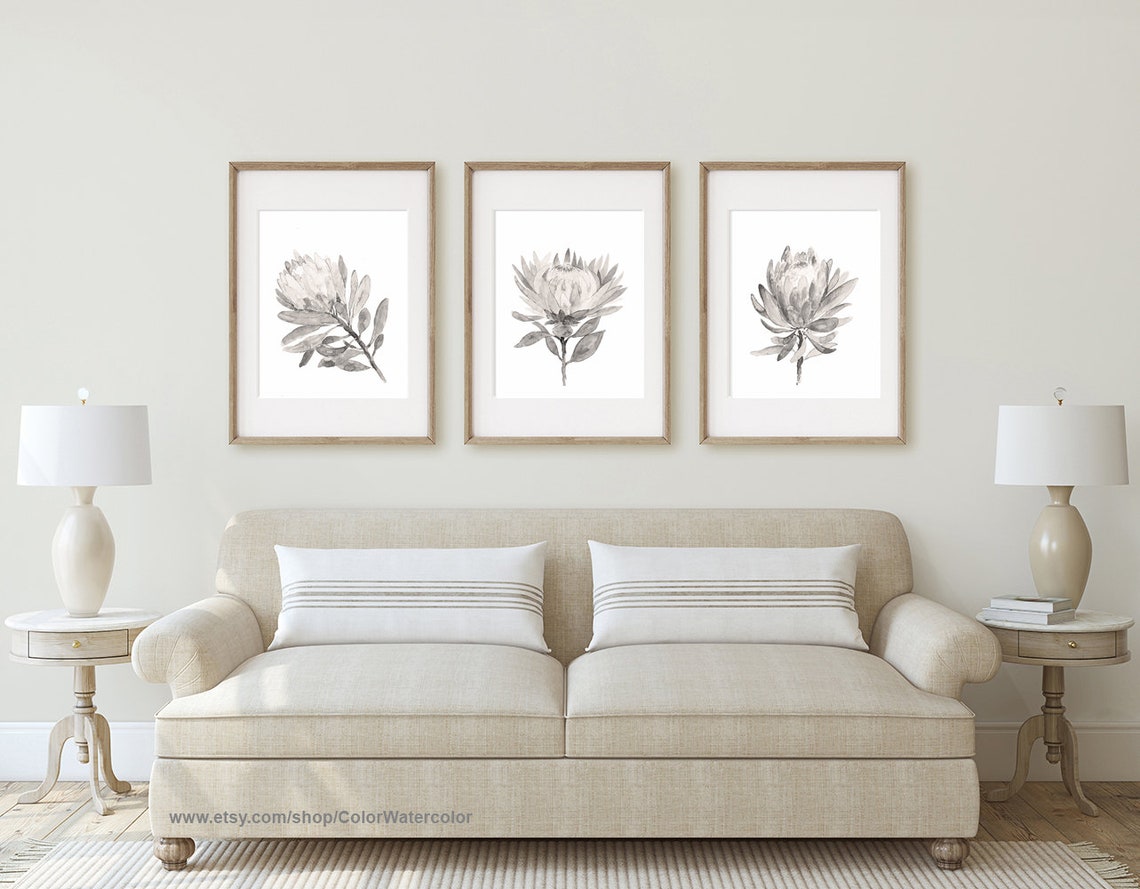 Protea Taupe Flower Print Protea Plant Protea Illustration | Etsy