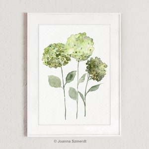 May include: A watercolor painting of three green hydrangea flowers with stems and leaves. The flowers are painted in shades of green and white.