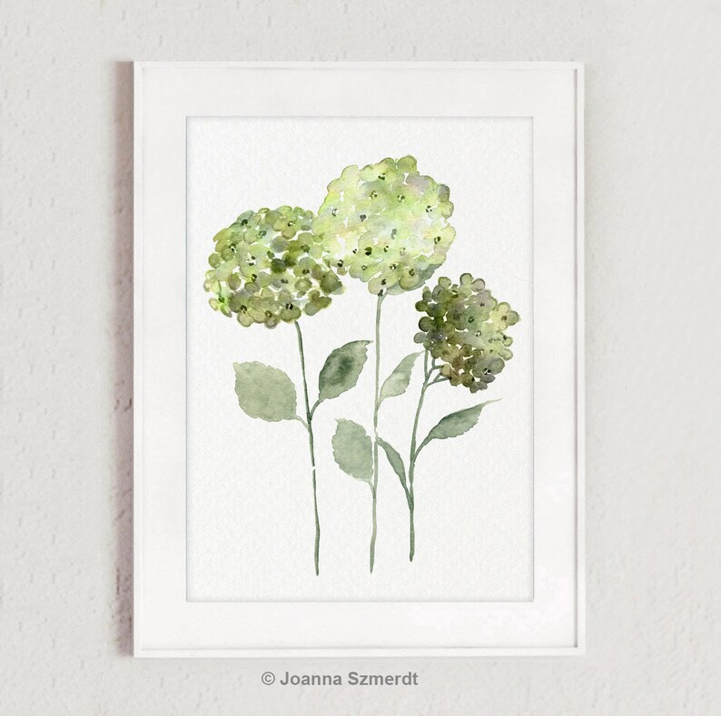 May include: A watercolor painting of three green hydrangea flowers with stems and leaves. The flowers are painted in shades of green and white.