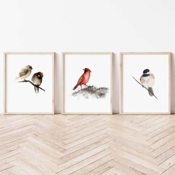 Ensemble de 3 oiseaux, mésange, moineaux et cardinal